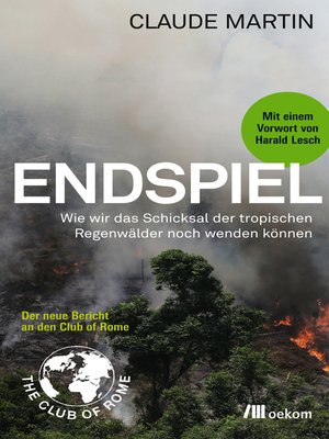cover image of Endspiel